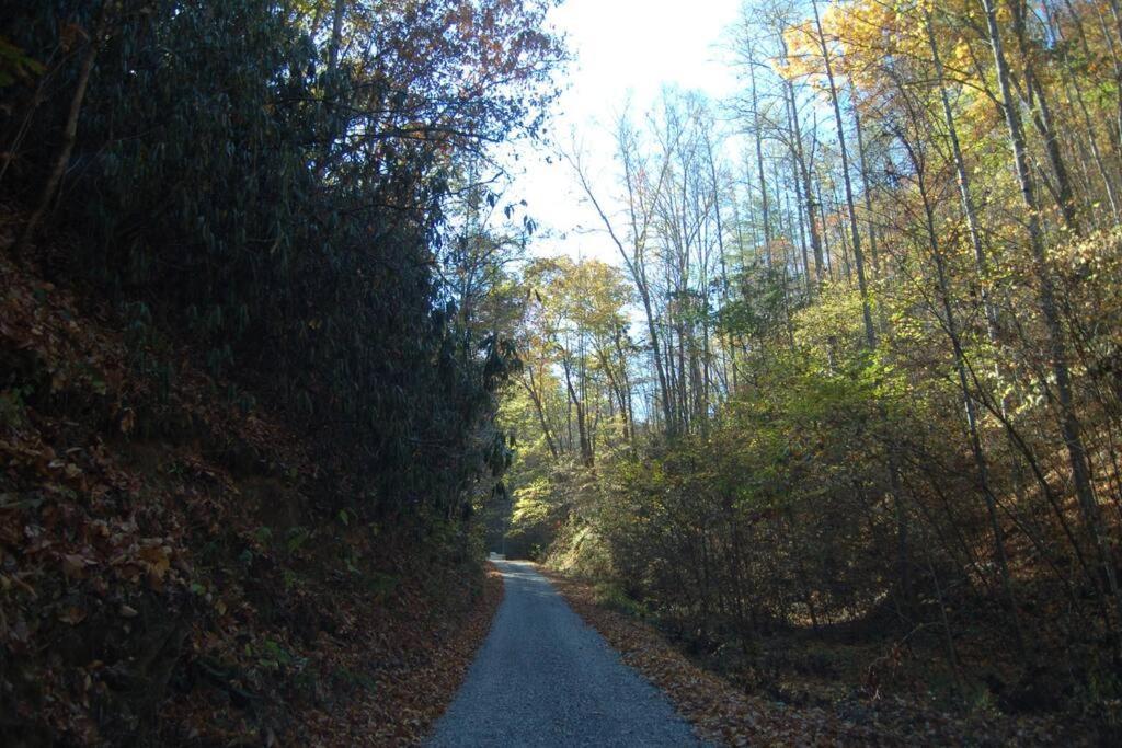 Little Cabin All To Yourself Sevierville Ngoại thất bức ảnh