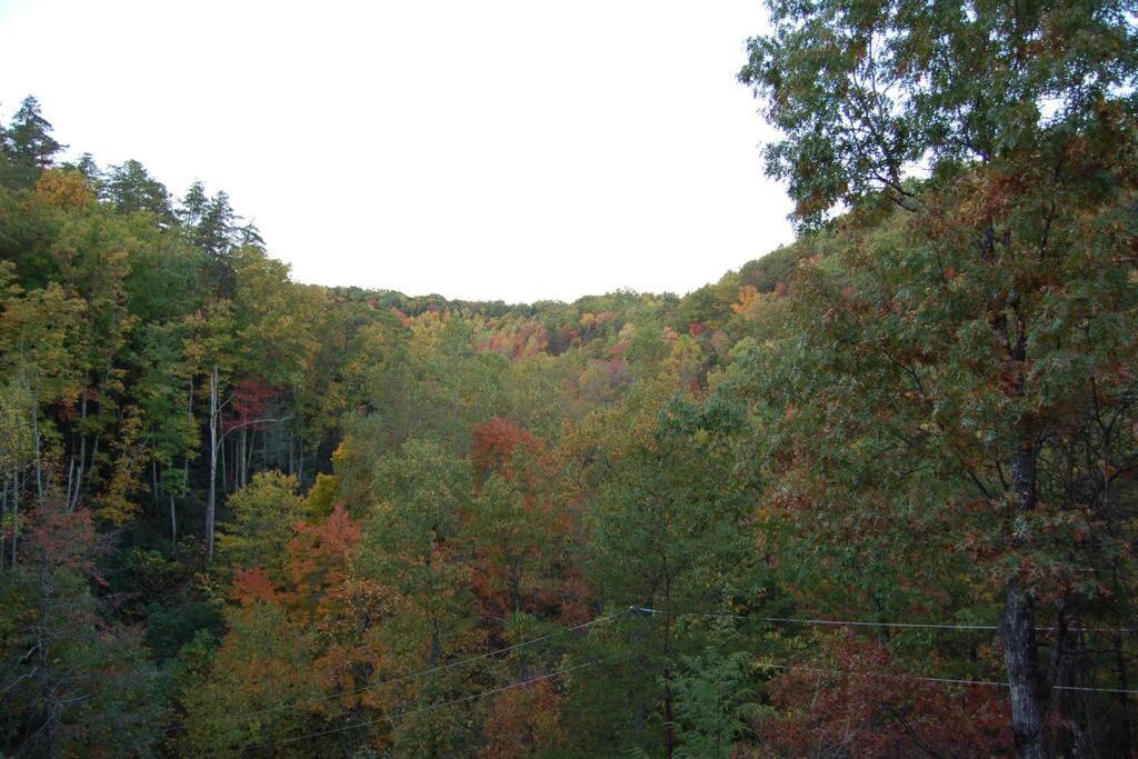 Little Cabin All To Yourself Sevierville Ngoại thất bức ảnh